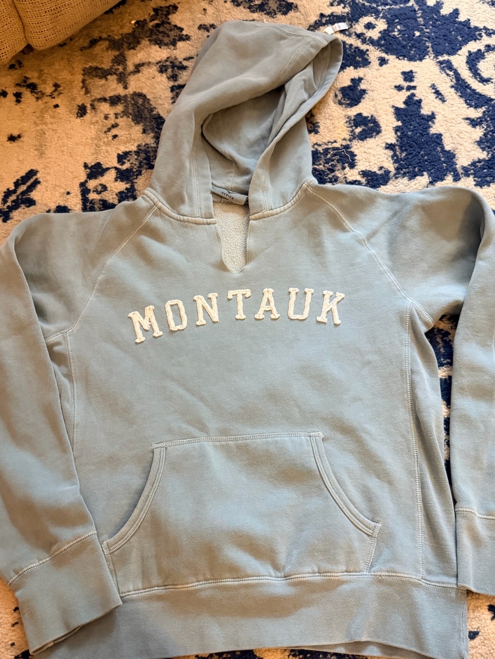 Montauk Embroidered Hoodie in Faded Sage